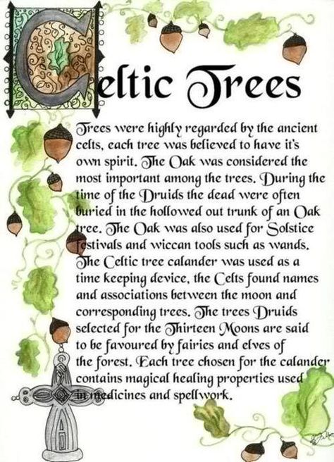 Celtic Spirituality, Pictures Of Trees, Celtic Witch, Norse Gods, Josephine Wall, Celtic Traditions, Ancient Celts, Celtic Heritage, Irish Quotes