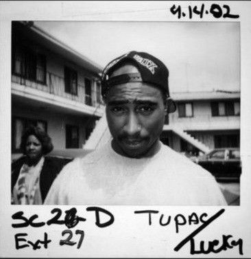 Tupac Last Photo, 2pac Black And White, 90s Rap Aesthetic, 2pac Poster, Tupac Pictures, 2013 Swag Era, Concept Clothing, Gangsta Rap, Rap Aesthetic