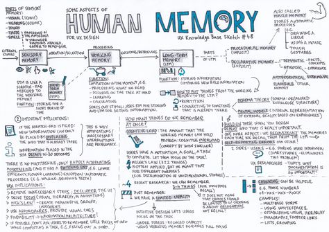 UX & Human Memory. UX Knowledge Base Sketch #48 | by Krisztina Szerovay | UX Knowledge Base Sketch Base Sketch, Design Sites, Human Memory, Memory Words, Higher Order Thinking Skills, Behavioral Economics, Depth Of Knowledge, Visual Notes, Higher Order Thinking