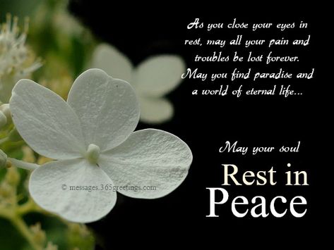 In Memory Quotes, Quotes For A Friend, In Peace Quotes, Rest In Peace Message, Rest In Peace Quotes, Rip Message, Peace Messages, Memory Quotes, Message For Teacher