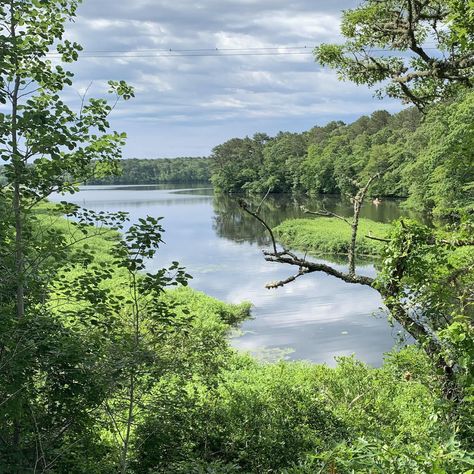 Cape Cod Rail Trail, Rhode Island Vacation, Lake Swimming, Salt Ponds, Oak Bluffs, Town Names, Pedestrian Bridge, Wildlife Habitat, Marthas Vineyard