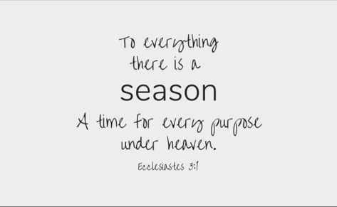 Seasons Life Quotes, Seasons Of Life Quotes Friends, This Season Of Life Quotes, Hard Seasons Of Life Quotes, New Season Of Life Quotes, Seasons Of Life Quotes, Bible Painting, Biblical Wisdom, Season Quotes