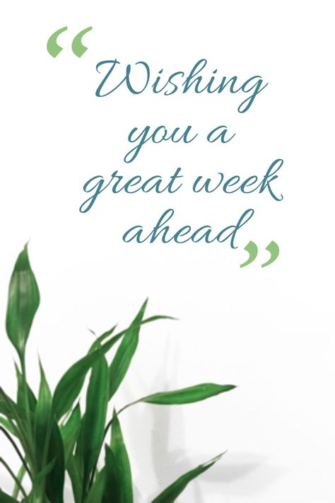 Happy New Week Quotes Beautiful, Have A Good Week Ahead, Good Morning Have A Great Week, Have A Great Week Ahead, Great Week Ahead Quotes, New Week Wishes, New Week Quotes, Grandkids Quotes, Week Blessings