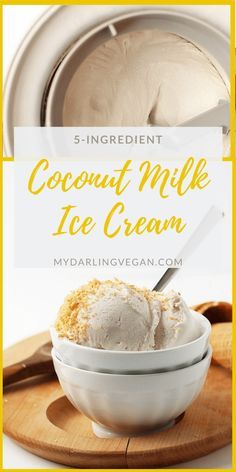 A rich and creamy coconut milk ice cream made with just 5 ingredients for an easy and delicious homemade vegan and gluten-free ice cream treat. Gf Deserts, Non Dairy Ice Cream, Coconut Ice Cream Recipes, Vegan Journey, Ms Diet, Coconut Milk Ice Cream, Vegan Ice Cream Recipe, Gluten Free Ice Cream, Ice Cream Maker Recipes