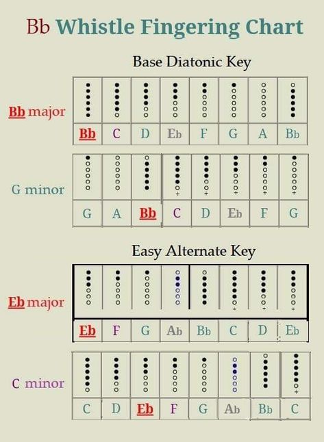 'Bb' Tin Whistle: 4 Easiest Keys Tin Whistle Songs, Flute Music Sheet, Tin Whistle Sheet Music, Whistle Notes, Tin Whistles, Flute Recorder, Lap Harp, Penny Whistle, Classical Conversations Foundations