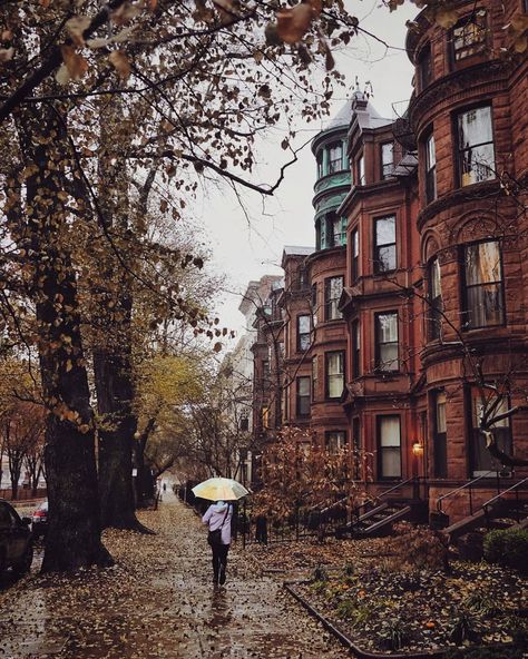 Brian on Instagram: “Almost positive she's a pluviophile, with an umbrella like that ☔⭐ From yesterday's downpour . . . . . . . . . .  #boston #igboston…” Boston Winter, Story Videos, Fall City, Boston Public Garden, Back Bay, February 2023, Public Garden, City Photography, Autumn Photography