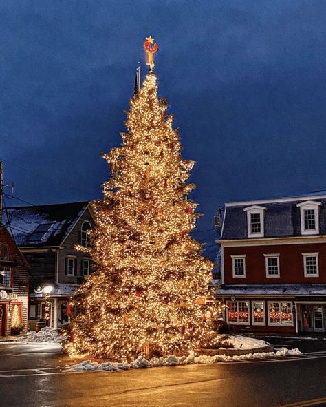 30+ Can't-Miss Maine Christmas Things to Do This December 3 Maine Christmas, Moving To Maine, Christmas Towns, Maine Winter, Boothbay Harbor Maine, Visit Bath, Christmas Things To Do, Horse Drawn Wagon, Boothbay Harbor