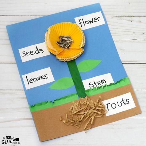 This Parts of a Flower Craft is a fun way for children to learn the different parts that make up a flower and will be a great addition to your flower unit this year. Parts Of A Flower Craft, Plants Kindergarten, Prek Crafts, Planting For Kids, Plant Activities, Plant Room Ideas, Plant Crafts, Science Crafts, Spring Preschool