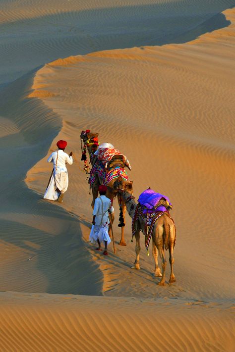 Rajsthani Culture Photography, Desert Images, Indian Desert, Udaipur India, Rajasthani Art, India Architecture, Desert Dunes, Amazing India, Desert Photography