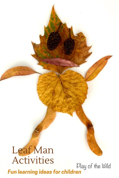 Enjoy these fun Leaf Man activities to make learning fun. Please see PlayoftheWild.com. #designandtechnology #dt #eyfs #preschool #kindergarten #year1 #firstgrade #looseparts #leaves #leafactivities #leafman #outdoor #outside #literacy #learning #teaching #leafactivities Leaf Man Activities, Leaf Lessons, Fall Leaf Template, Thanksgiving Crafts Preschool, Leaf Man, Autumn Leaves Art, Fall Preschool Activities, Eyfs Activities, October Crafts