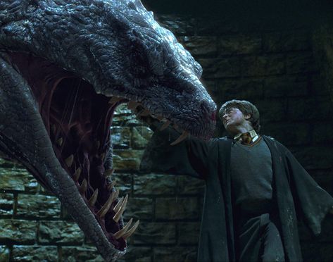 Harry Potter killing the basilisk in Harry Potter and the Chamber of Secrets. Plotting A Novel, Daniel Radcliffe Harry Potter, The Chamber Of Secrets, Harry Potter And The Chamber Of Secrets, Ron And Hermione, Chamber Of Secrets, Harry Potter 2, Harry Potter Film, Daniel Radcliffe