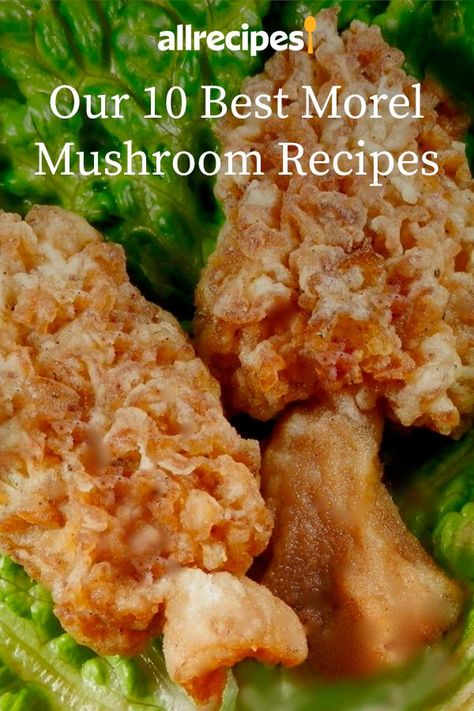 Morel Recipes, Morel Mushroom Recipes, Crossant Recipes, Wild Mushroom Recipes, Mushroom Side Dishes, Morel Mushrooms, Foraged Food, Morel Mushroom, Veggie Sides