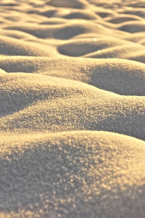 Sand Pictures, March 7th, Sand Textures, Hermit Crab, Snow Winter, Natural Forms, Beach Bum, Beach Sand, The Sand