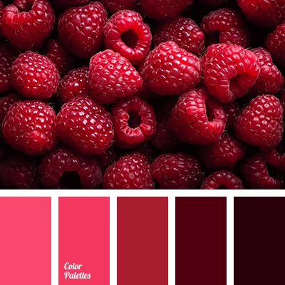 Cold berry palette shifts gradually from lilac to dark burgundy. This elegant color range is bound to look good in a bedroom and will create an unusual atm. In Color Balance, Color Palette Ideas, Wall Living Room, Red Colour Palette, Warm Palette, Palette Ideas, Color Palette Pink, Raspberry Color, Color Palate