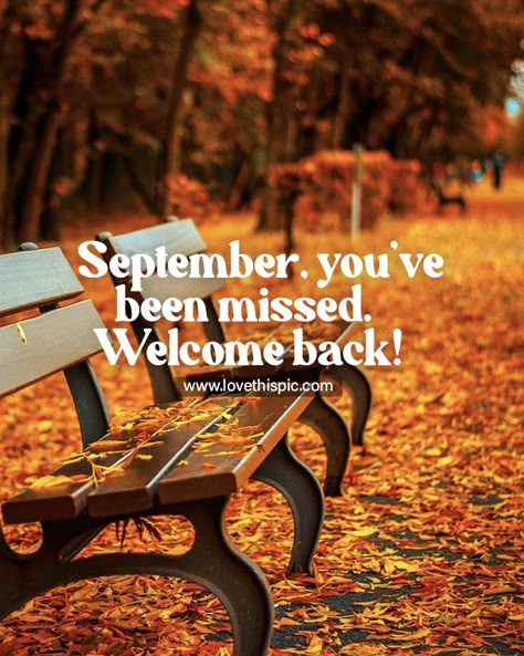 September, you’ve been missed. Welcome back! months month image quotes september hello september september quotes welcome september happy september hello september quotes quotes to share september sayings September Hello, Welcome Back Pictures, September Quotes, Hello September Quotes, Welcome September, Ber Months, My September, Happy September, Vacation Quotes