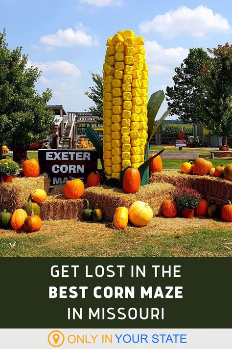 Pumpkin Patch Yard Display, Corn Maze Activities, Corn Festival Ideas, Fall Fair Ideas, Corn Maze Ideas Activities, Fall Festival Maze, Corn Maze Ideas, Corn Maze Aesthetic, Autumn Party Ideas