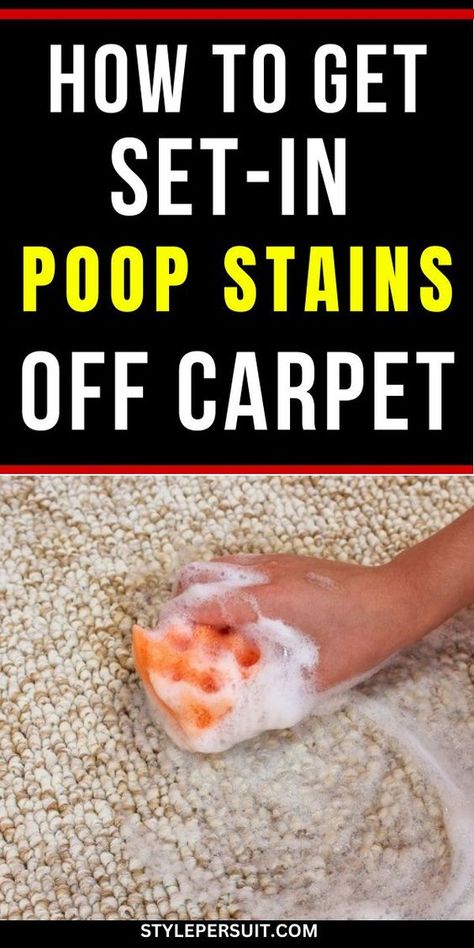 Similar to cleaning dog pee or getting rid of pet odors, effectively cleaning poop stains from your carpet requires some effort and the right cleaning supplies. Here’s a simple guide Diy Carpet Stain Remover Pets, Clean Carpet Stains Pets, Pet Stains Out Of Carpet, Cleaning Dog Pee, Mattress Stain, Stains Out Of Carpet, Diy Carpet Stain Remover, Dog Pee Smell, Wash Shoes