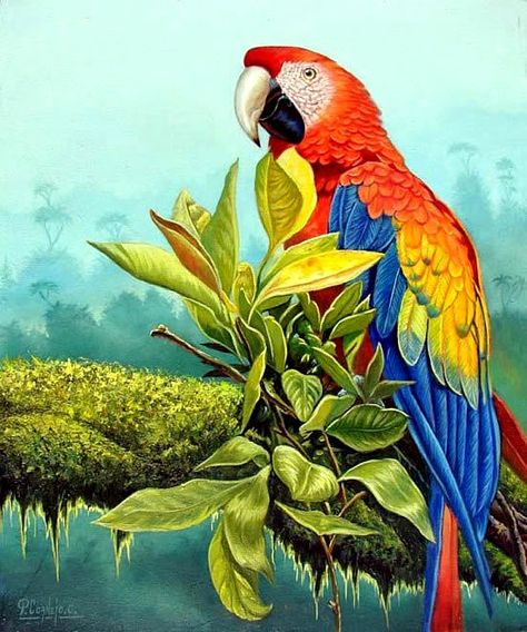 En este blog solo encontraras guacamayas pintadas al oleo por los mejores pintores del mundo.  Las guacamayas son las aves mas bellas del mu... Parrot Drawing, Parrot Painting, Parrots Art, Macaw Parrot, Colorful Parrots, Exotic Bird, In The Jungle, Exotic Birds, Tropical Birds