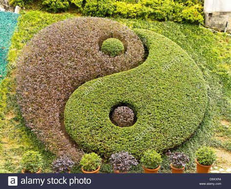 Download this stock image: dh Wong Tai Sin Temple WONG TAI SIN HONG KONG Yin Yang symbols in temple gardens made from bush plants feng shui yan - D9XXR4 from Alamy's library of millions of high resolution stock photos, illustrations and vectors. Yin Yang Garden, Temple Gardens, Bush Plant, Small Garden Design, Ying Yang, Gorgeous Gardens, Small Garden, Park City, Landscaping Ideas