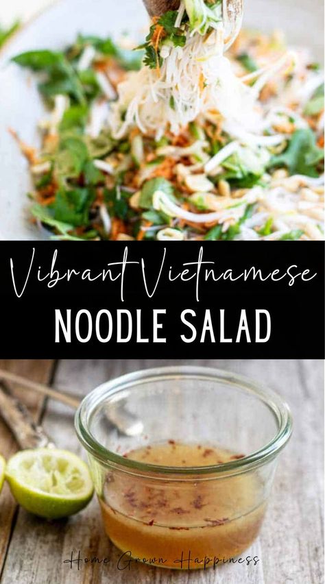 This Vietnamese noodle salad is a vibrant salad of fresh herbs, vegetables and vermicelli rice noodles tossed in a zesty Nuoc Cham dressing. This healthy Vietnamese noodle salad makes a quick and easy weeknight meal. Serve it with shredded chicken or prawns, or tofu if you’re vegetarian. The salad is full of fresh vegetables and zesty dressing but the main flavour comes from the combination of fresh mint leaves and fresh coriander. Vermicelli Rice Noodles, Vietnamese Noodle Salad, Vermicelli Rice, Noodle Salad, Home Grown, Fresh Mint Leaves, Rice Noodles, Mint Leaves, Fresh Herbs