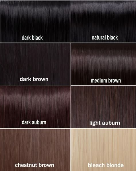 Black Hair Color Chart, Brown Hair Chart, Brown Black Hair Color, Brown Hair Color Chart, Hair Chart, Dark Chocolate Brown Hair, Black Brown Hair, Brown Hair Shades, Chocolate Brown Hair Color