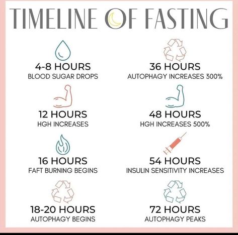 Fasting Timeline, Autophagy Fasting, Apply Nail Polish, Keto Recipes For Beginners, Nail Care Products, Fast And Pray, Calorie Burning Workouts, Too Much Estrogen, Holistic Diet