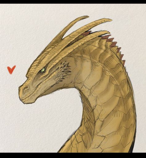 Syrax Dragon Drawing, House Of The Dragon Drawing, Sunfire Dragon, Fourth Wing Rebecca Yarros, Character Notes, Hotd Dragons, Rebecca Yarros, Game Of Thrones Dragons, Got Dragons