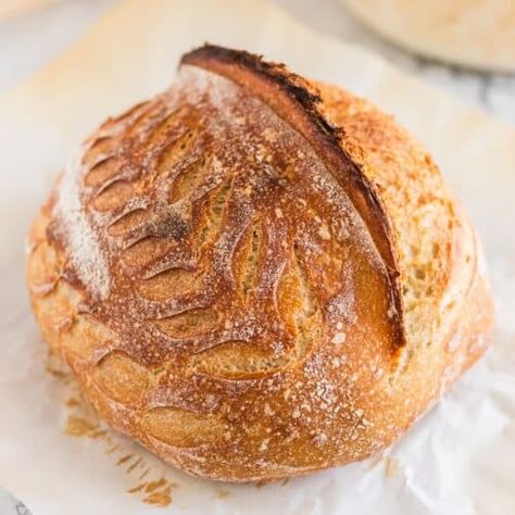 Gluten-Free Sourdough Bread - Living Chirpy Gluten Free Sourdough Bread Recipe Easy, Best Gluten Free Sourdough Bread Recipe, Gluten Free Sourdough Boule, Gluten Free Soughdough Bread, Gluten Free Sourdough Bagels, Gf Sourdough Bread Recipe, Gluten Free Sourdough Dinner Rolls, Sourdough Gluten Free Bread, Easy Gluten Free Sourdough Bread