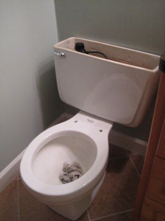 Green Toilet, Toilet Step, Replace Toilet, Easy Home Improvement Projects, Toilet Repair, Toilet Installation, Diy Toilet, Home Remodeling Diy, Diy Plumbing