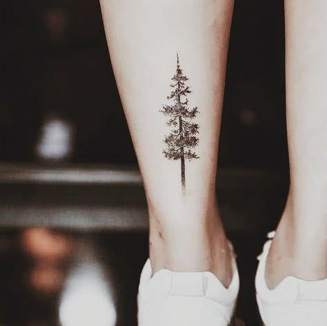 Norway Pine Tattoo, Maine Pine Tree Tattoo, Pine Tree Ankle Tattoo, Larch Tree Tattoo, Lodgepole Pine Tattoo, Tree Spine Tattoos For Women, Arm Sleeve Tattoo Men, Tree Spine Tattoo, Lower Arm Sleeve Tattoo