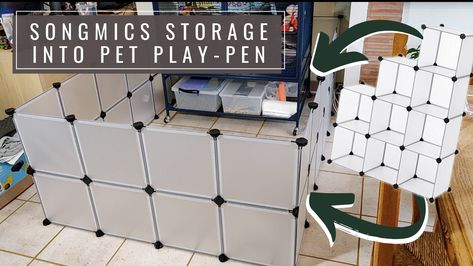 Turn modular shelves into a sleek, low maintenance and easy to clean pet play pen. Ideal for freeroaming pets like rats, rabbits, ferrets, guinea pigs, lizards, hedgehogs, puppies, ... . #playpen #freeroam #pethacks #petplaypen #petplaytime #petcare #ratcare #petcaretips #ratcaretips #rodents #rodentcare Diy Ferret Playpen, Rat Playpen Ideas, Rat Playpen, Ferret Playpen, Modular Shelves, Rat Care, Ferret Cage, Play Pen, Rat Cage