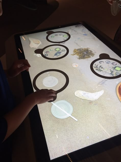 Aquarium touch table interactive, move magnifying glass circle to reveal what's under the sand Interactive Table Design, Aquarium Sand, Interactive Table, Zoo Project, Exhibition Display Design, Motion Poster, Touch Table, Interactive Exhibition, Interactive Walls