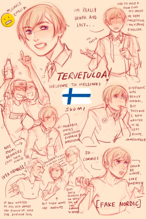 Finland Hetalia, Aph Finland, Hetalia Nordics, Swedish Flag, Fandom Art, Hetalia, Anime Funny, Finland, On Tumblr