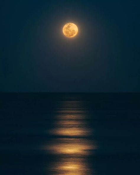 How to Photograph the Moon (With 10 Great Examples) | Light Stalking Full Moon Photos, Photographing The Moon, Moon Sea, Wallpaper Moon, Moon Silhouette, Moon Images, Moon Photos, Moon Pictures, Light Images