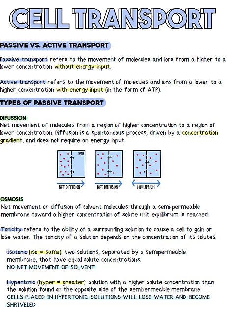 STEMthusiast | BIOLOGY NOTES Active Transport Notes, Lipids Notes Biology, Nat 5 Biology Notes, Studying For Biology, High School Biology Notes, Active Transport Biology Notes, Cell Transport Notes, Cell Membrane Notes, Biology Cheat Sheet