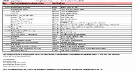 40 Dog Training Plan Template | Hamiltonplastering Training Plan Template, Residency Medical, Puppy Training Schedule, Business Letter Format, Lesson Plan Template Free, Printable Dog, Business Plan Template Free, Action Plan Template, Free Business Plan