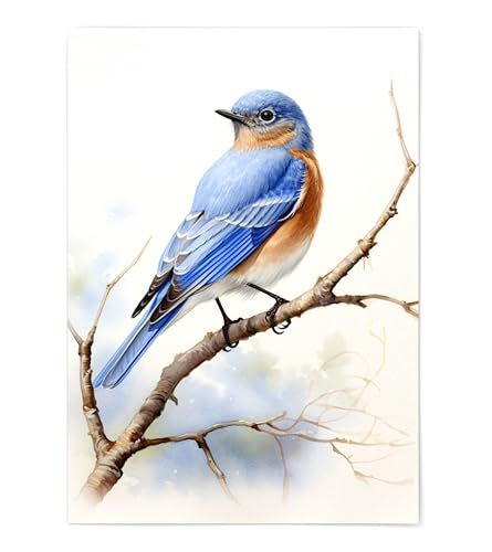 Eastern Bluebird Print - Bluebird Wall Art Print Poster Unframed - Watercolor Eastern Bluebird Print - Bird Wall Art - Bluebird Painting - Bluebird Artwork Illustration (8x10) Bluebird Painting, Wall Art Illustration, Eastern Bluebird, Bird Wall Art, Handmade Artwork, Art Print Poster, Watercolor Bird, Bluebird, Illustration Print