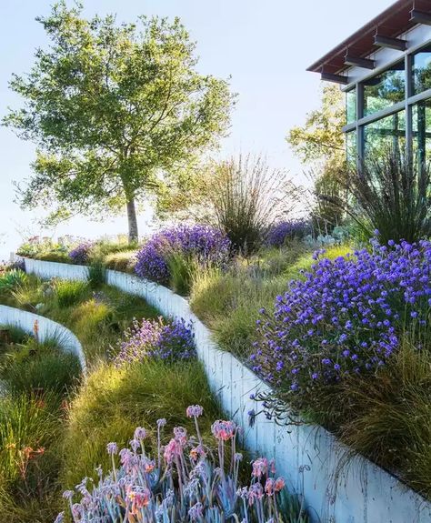 Plot on a slope - Garden Design Idea #farming #gardener #gardenlife #gardens #supportingwalls #walls Bernard Trainor Landscapes, Sloping Backyard Landscaping, Landscaped Hill, Southern California Landscaping, Bernard Trainor, Martha Stewart Garden, Steep Hillside Landscaping, Southern California Garden, Steep Gardens