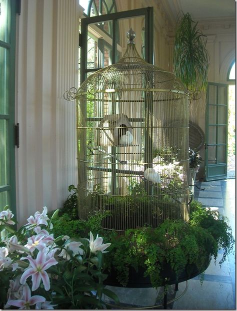 This would be so easy to replicate if need be in a smaller version for a porch-using fern to surround bird cage..charming, tweet tweet! Birdcage Planter, Flying Bird Silhouette, Bird Painting Diy, Antique Bird Cages, The Caged Bird Sings, Gothic Garden, Bird Cage Decor, Bird Bath Garden, Bird Aviary