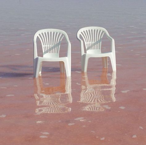 Whalebone on Instagram: “Not every day but almost every day. Pretty much every day. Look, you’ve got things to do and we’ve got things to do. But it still goes out…” White Plastic Chair, Chair Photography, Chair Aesthetic, Mood And Tone, Plastic Furniture, Plastic Chair, Pretty Much, Photography Inspo, Aesthetic Photography