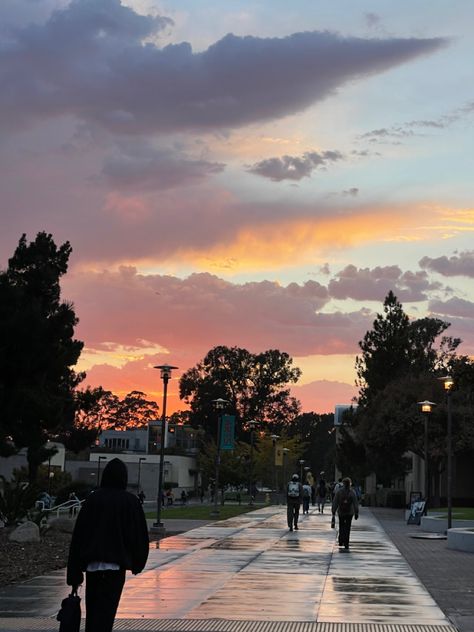 ucsb campus sunset Ucsb College Aesthetic, Uc Santa Barbara, Uni Life, College Aesthetic, Dream College, College Life, Santa Barbara, Cali, University