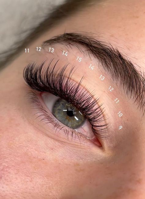 Dramatic Hybrid Lash Extensions, Eyelash Extensions With Numbers, Lash Maps Hybrid, Eyelash Extensions Numbers, Lash Extensions Layout, 13mm Lash Extensions, Eyelash Extensions Styles With Numbers, D Curl Lash Extensions Mapping, Mega Volume Mapping