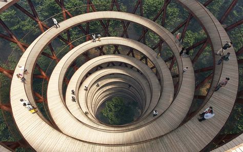 This New Spiral Path in the Middle of the Forest Lets You Walk Among the Treetops in Denmark (Video) Wooden Walkways, Forest Canopy, Parc D'attraction, Adventure Camping, Spiral Staircase, Adventure Park, Birds Eye View, Birds Eye, Camping Hacks