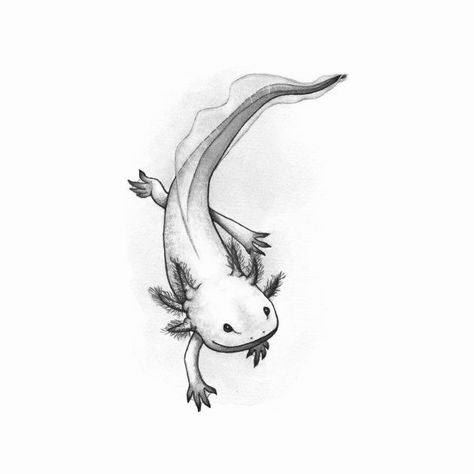 Axolotl Tattoo Drawings, Axolotl Tattoo Ideas, Axolotl Tattoo Design, Axolotl Sketch, Cute Axolotl Drawing, Sea Animals Tattoo, Sea Animal Tattoos, Axolotl Tattoo, Axolotl Drawing