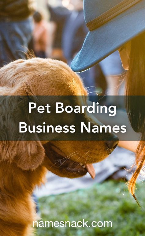 Dog Boarding Business Names, Pet Boarding Business Ideas, Daycare Names, Hotel Pet, Pet Daycare, Dog Boarding Facility, Pet Grooming Business, Pet Care Business, Pet Sitting Business