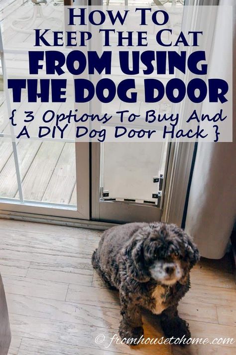 Want to keep your cats indoors while still letting the dog go in and out as he pleases? See our options for how to keep the cat from using the dog door. #fromhousetohome  #diydecorating #diytipsandtricks #pets #decorating Diy Doggie Door, Farmhouse Bedroom Wall, Interior Cottage, Dog Gates, Cheap Fall Decor, Cat Proofing, Decor Logo, Dog Bath, Quirky Home Decor