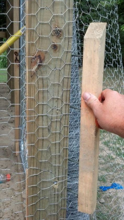 Chicken wire stretcher Garden Gates And Fences Chicken Wire, Goats And Chickens, Chicken Wire Fence, Chicken Fence, Chicken Wire Basket, Chicken Wire Crafts, Chicken Wire Frame, Layer Chicken, Shed Floor