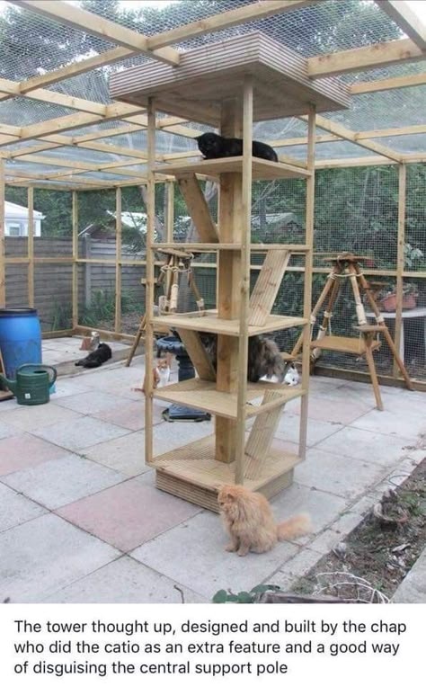 Cat Cages Indoor Diy, Aesthetic Cat House, Catio Ideas Cat, Cattery Ideas, Cat House Design, Aesthetic Kitten, Fat Kitten, Catio Ideas, Diy Cat Enclosure