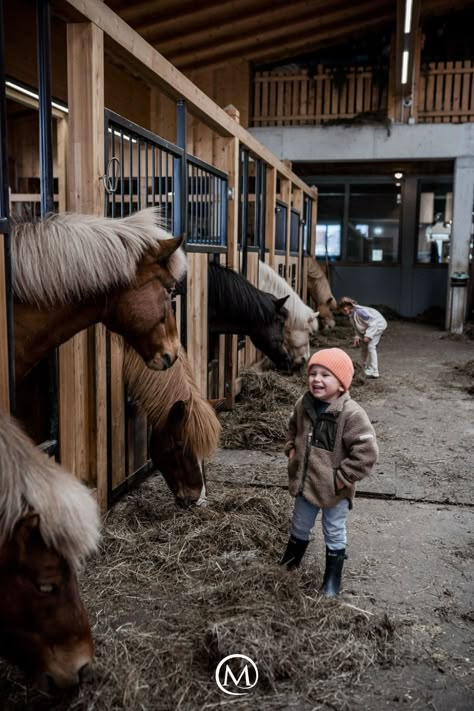 Horse Riding Holiday, Riding Holiday, Riding Stables, Icelandic Horses, Icelandic Horse, Riding Lessons, Ranch Life, Horse Stables, Family Goals