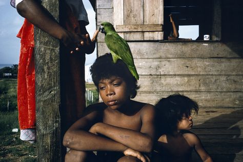 Alex Webb, Photographer Portfolio, Great Photographers, Magnum Photos, Grand Palais, Street Photographers, Documentary Photography, Bob Dylan, Pics Art